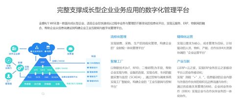 潍坊金蝶 企业管理与办公软件的研发先锋